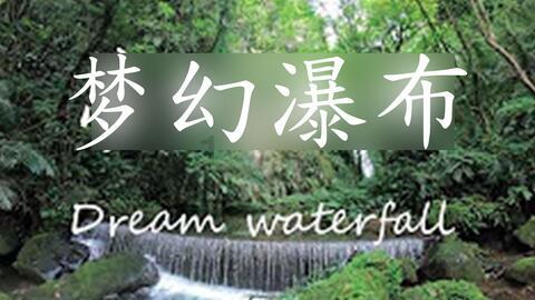 启林律师事务所如何?