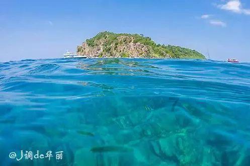 德桑蒂斯退选引用丘吉尔 “假名言”遭群嘲