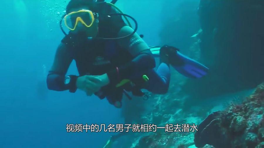 潜行者：普里皮亚季的召唤