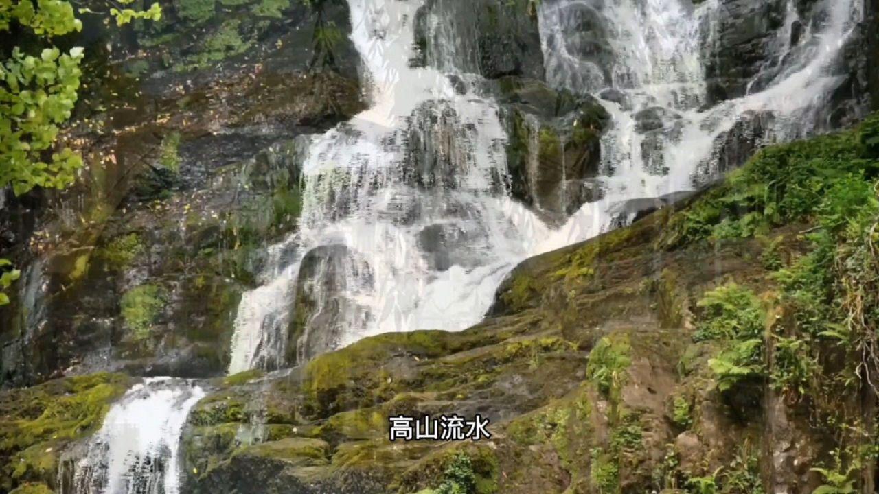 捋线寻珠、笃行不怠,踏寻津郊历史印记