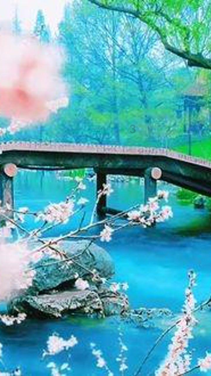大一可以开始自考本科吗？游戏画面